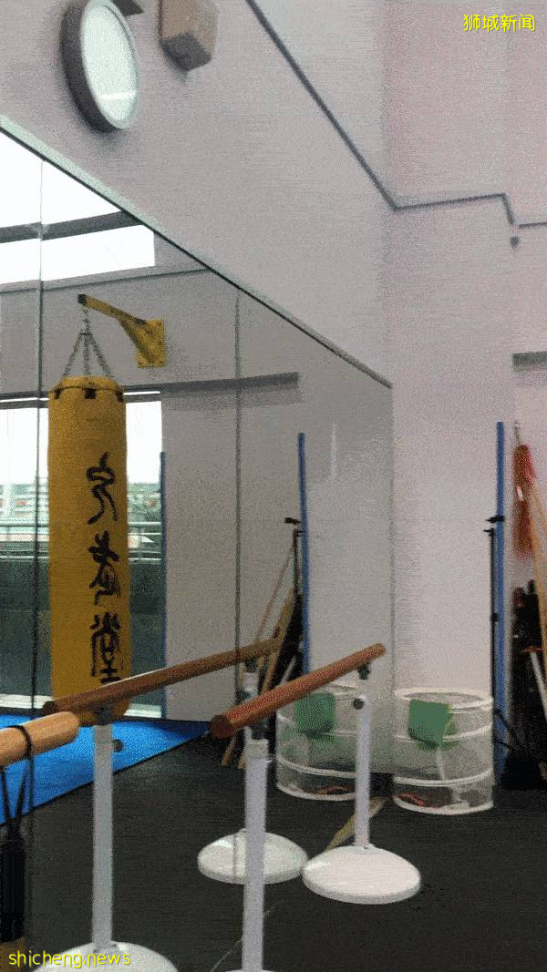 酷!新加坡网红武馆扩张!娃跟着冠军学武术,妈妈也一起练搏击