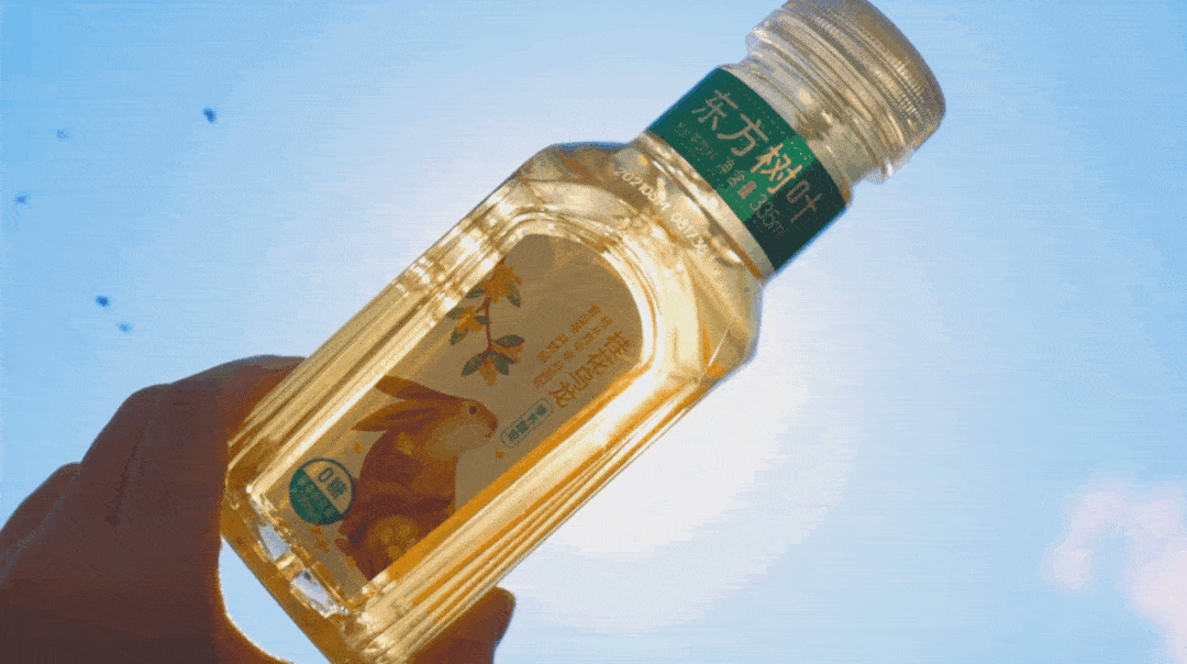 小坡島種草機!春遊野餐正當時,讓大自然治愈你