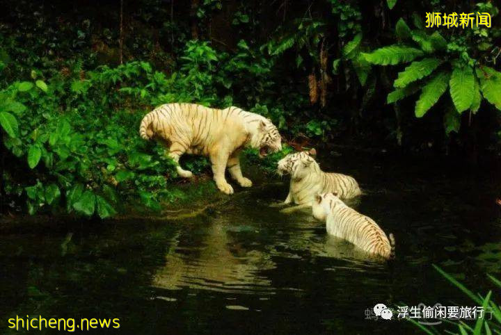 新加坡拍照圣地