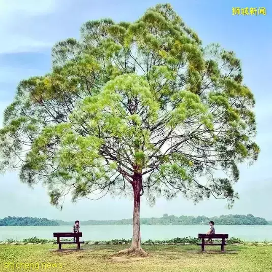 玩在狮城 周末回归自然——为你搜罗坡岛那些最适合徒步欣赏美景的好去处