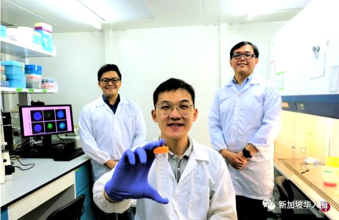 新加坡研發出能夠殺死癌細胞的方法!無需藥物安全副作用小