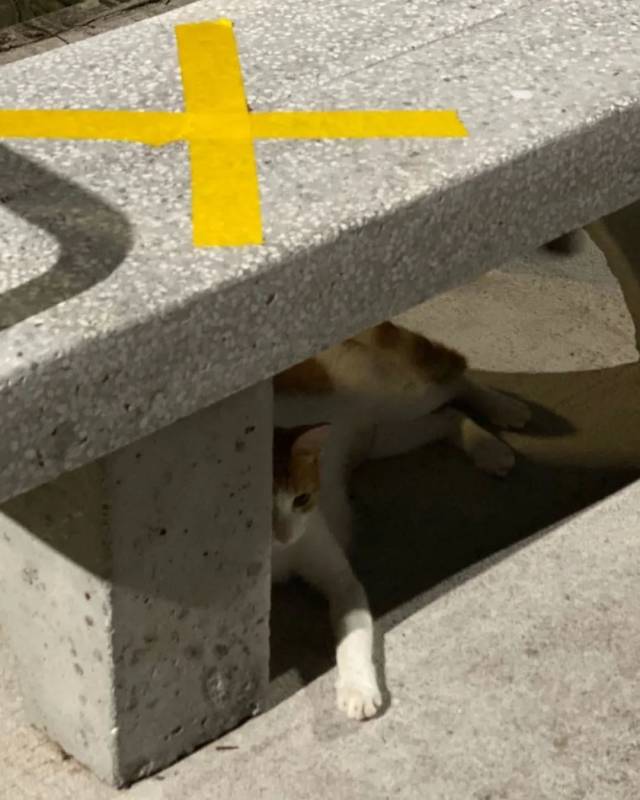 新加坡用膠帶做了一場大型公共藝術