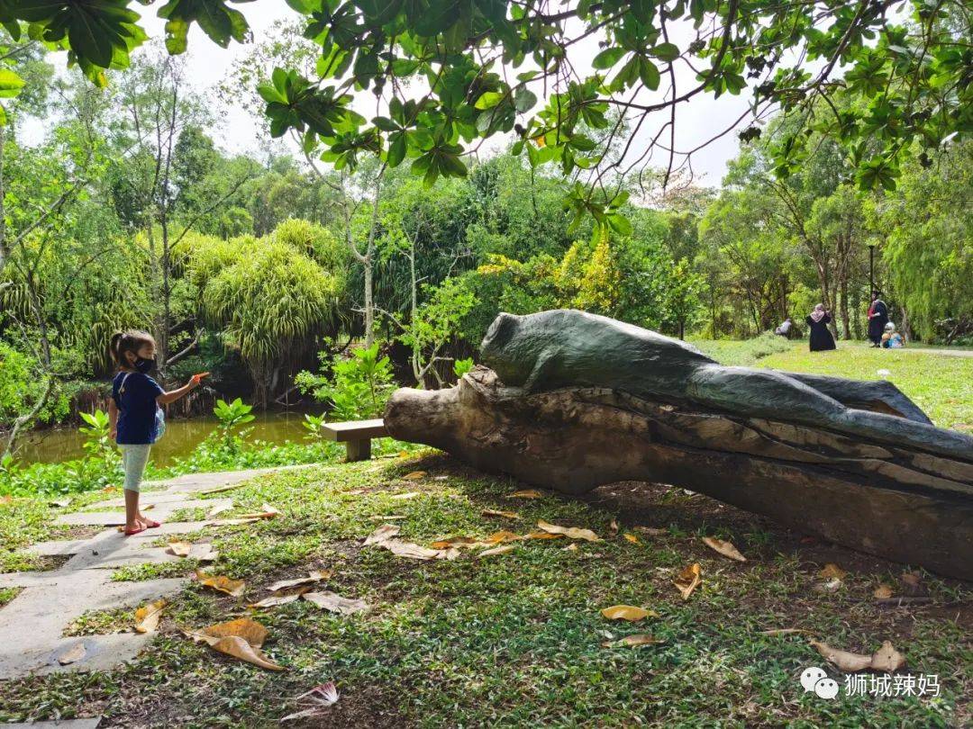 新加坡最好玩的海灘公園!趕海、騎馬、劃艇、樹籬迷宮、燒烤露營,超適合家庭出遊