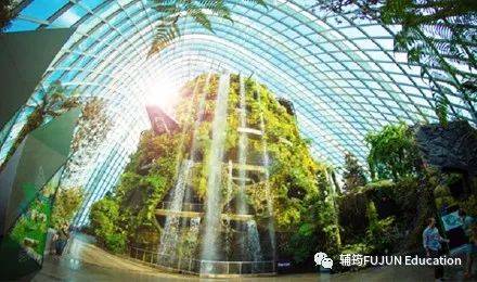 跟着小筠去游玩——新加坡的吃喝玩乐(上篇)