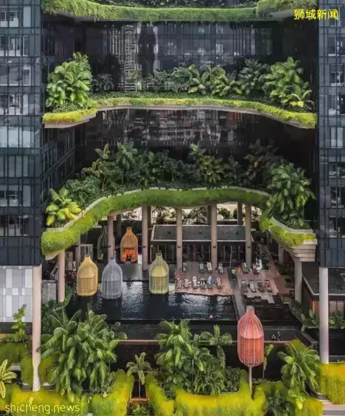 人口密度极高的新加坡,为什么却不拥堵