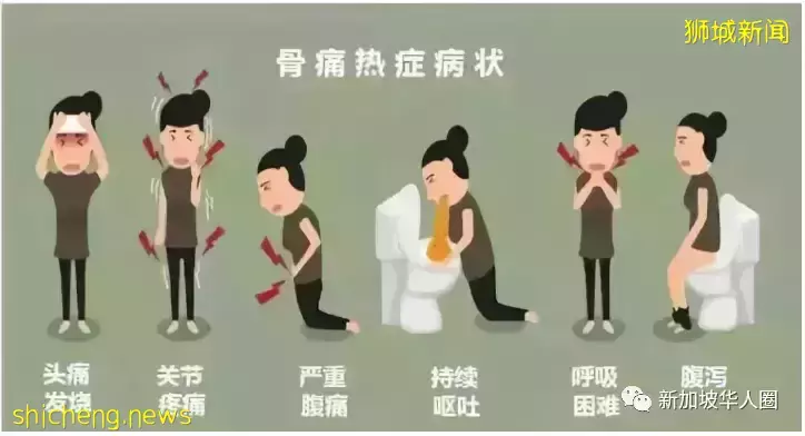 新加坡骨痛热症病例又创新高!或将找过去年的5200多起