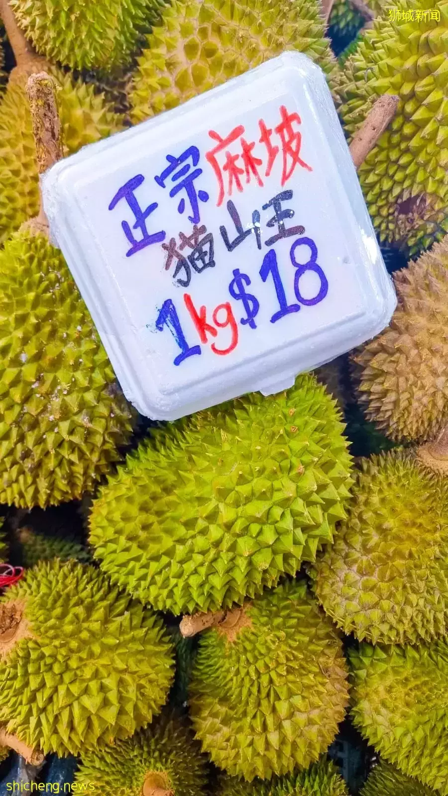 义安城、BHG大促！名牌包半价，玩具3折！这3家商场全年80%OFF