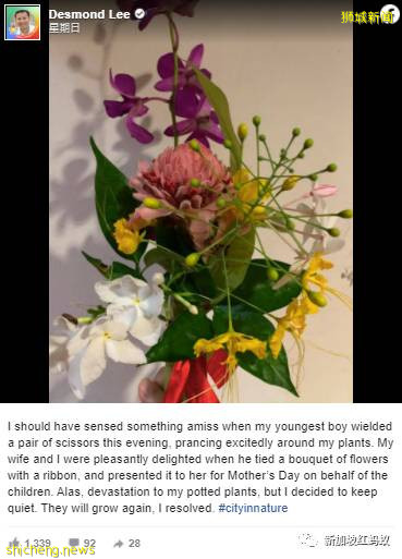 母親節也添政治色彩？ 新加坡部長議員名人母親，曝光亮相齊歡顔