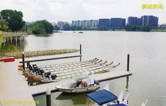 美到不行的裕廊湖畔花园,你不来打卡一下吗