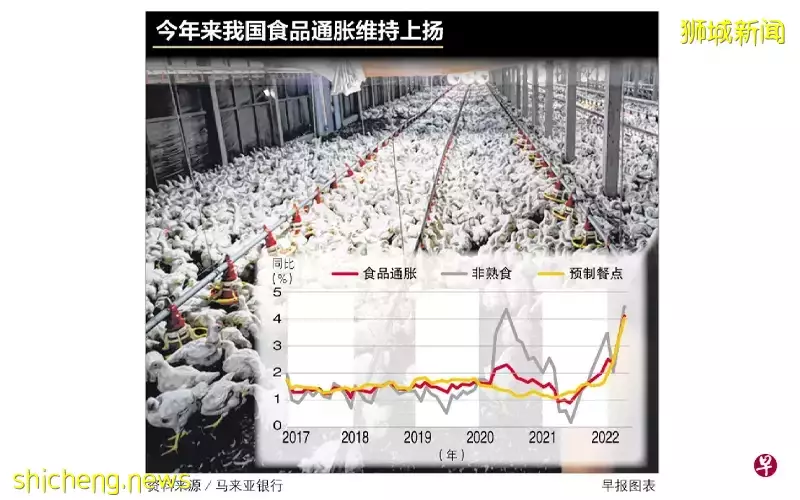 經濟師：活雞進口對整體物價沖擊不大，但食品通脹較往年高