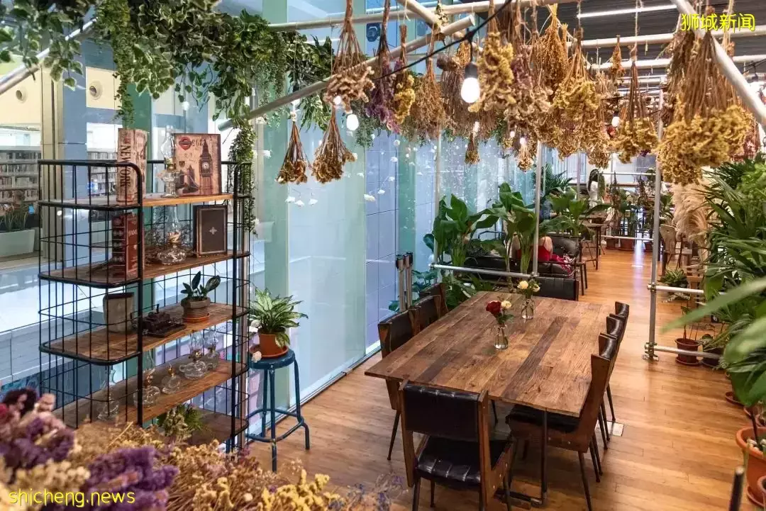新加坡15间绝美植物主题餐厅,打卡喧嚣闹市里的绿野仙踪