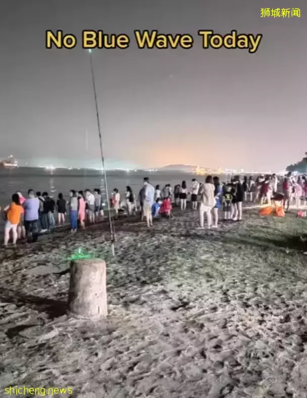 新加坡現“藍色螢光”海浪!這裏擠滿了人,沿路交通擁堵