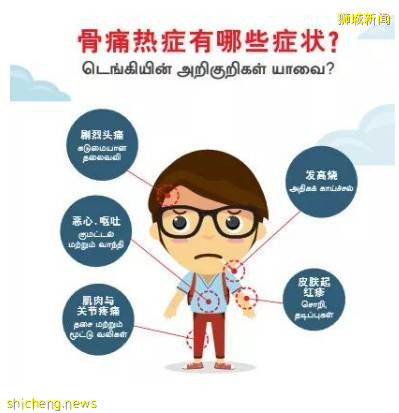 持續增加!新加坡一周內1158起骨痛熱症病例!211個密集感染區!