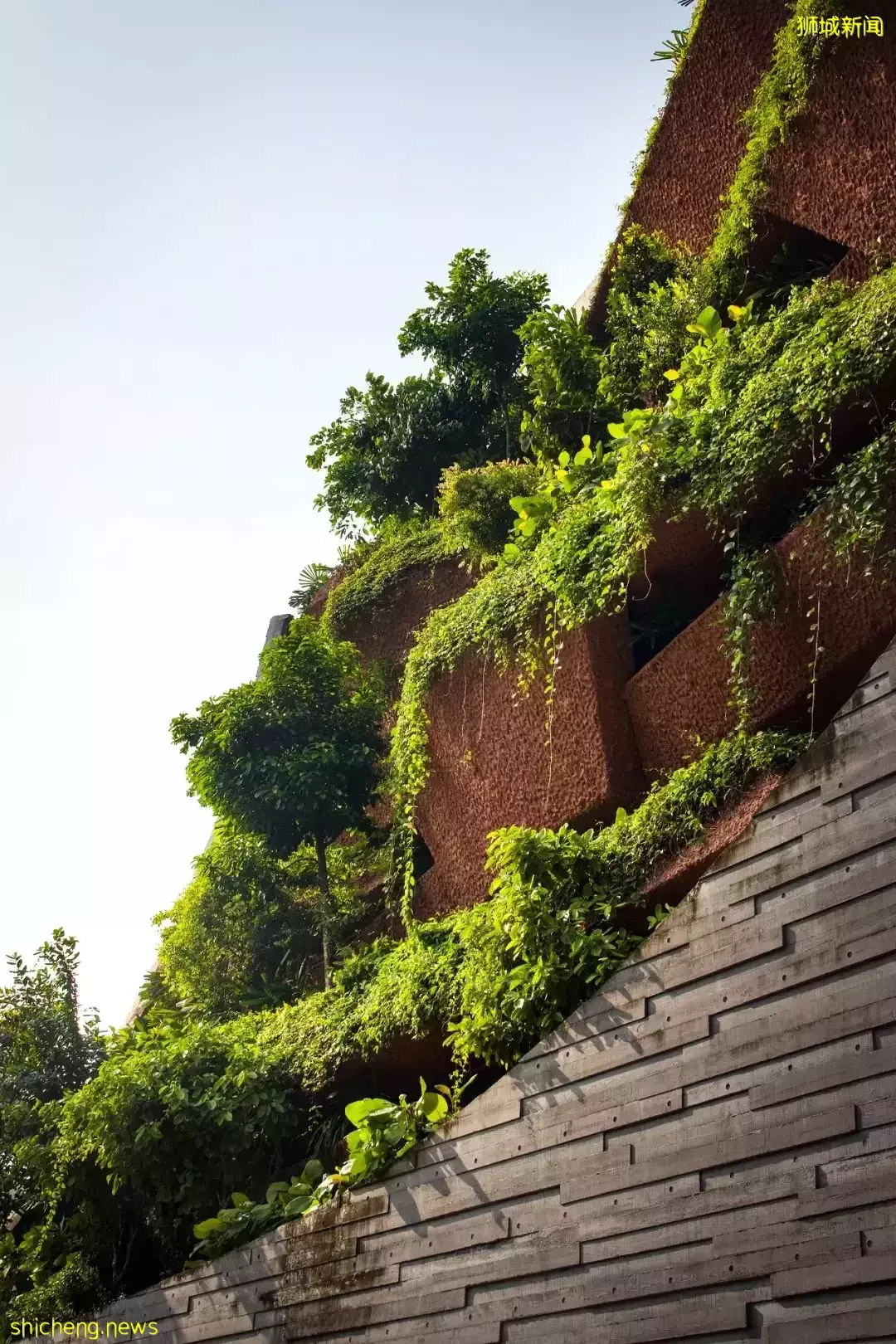 新加坡李光前自然曆史博物館 / Tierra Design (S) Pte Ltd