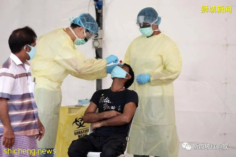 他們是新加坡輸入病例