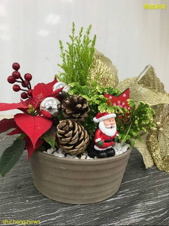 迎接溫暖聖誕季~新加坡這10個地方可以買到聖誕樹,快布置起來