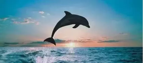 【新加坡留学】孩子进中学后 家长抓狂