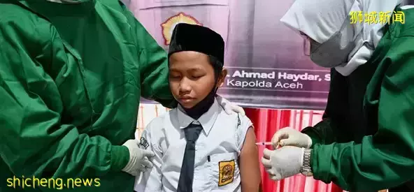 陈振声:儿童版辉瑞下周将运抵新加坡!家长问为什么不选科兴