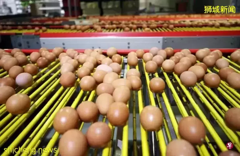 榴梿也漲價，一個68新！雞蛋、港式點心、巴刹生鮮都起價了