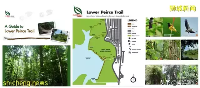 AMO Residence會是下一個JadeScape嗎