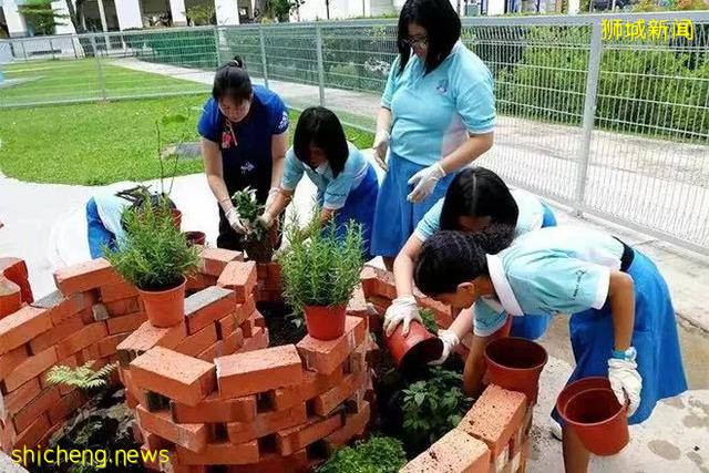 新加坡教育 自然科學讓“愛護環境，從你我做起”真正落實到實處