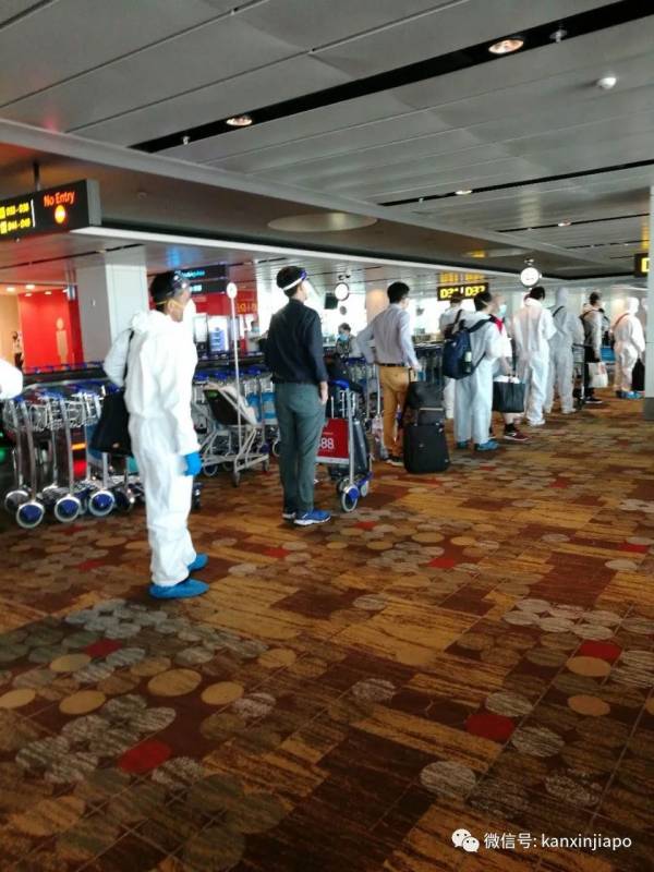 同航班出现感染病例,两老从新加坡回成都一波三折