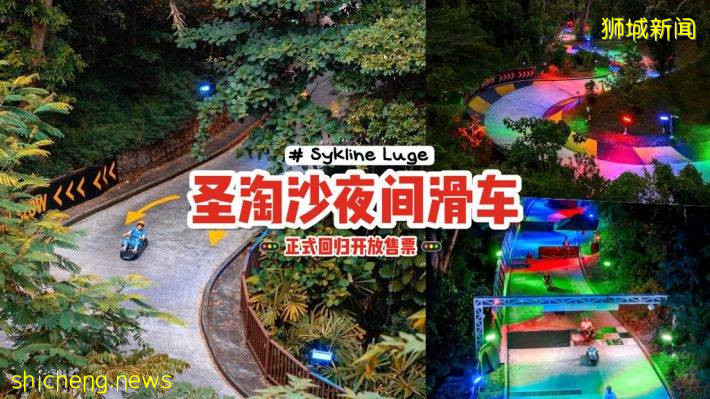 Skyline Luge夜間斜坡滑車正式回歸💨 預購門票還能獲得免費冰淇淋🍦邊玩邊吃快樂翻倍