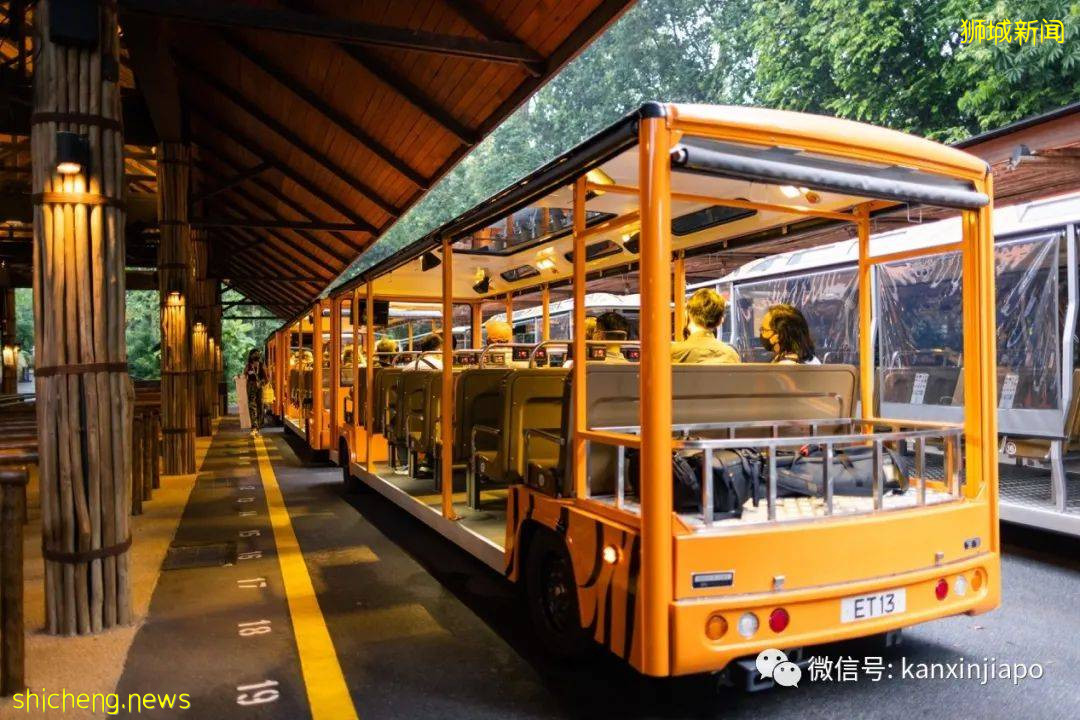 小米新加坡牵手Night Safari动物园网红大象,温情满满