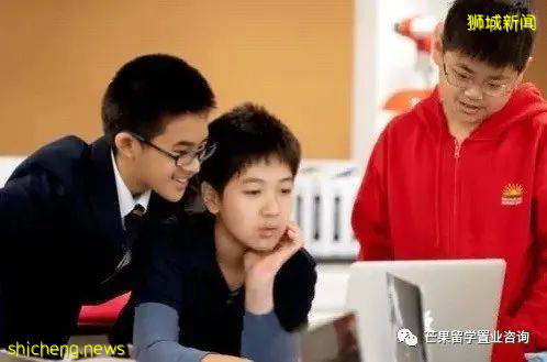 了解新加坡公立/私立/國際學校、理工/藝術/教育模式