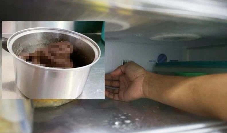 新加坡亲人用铁锅烧焦两岁女孩,组屋藏尸五年无人知晓