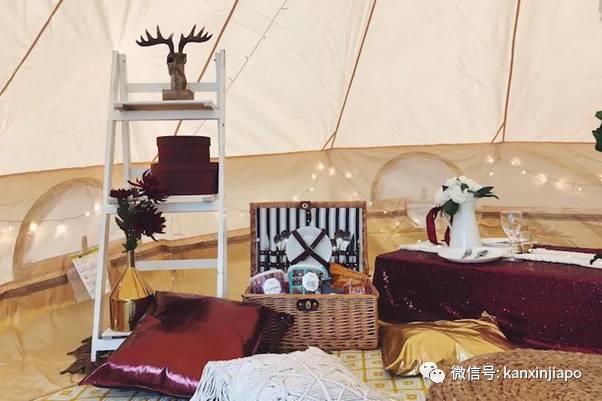 黑五最全特輯 小CK半價，Dyson、Sephora等各大品牌低至三折