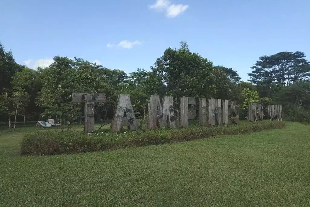 隐藏秘籍！新加坡26条远足路线：寻找长尾猕猴、红毛丹种植园，眺望最美海峡