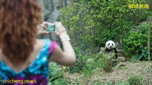 新加坡万礼生态园：与动物同居可敢一试