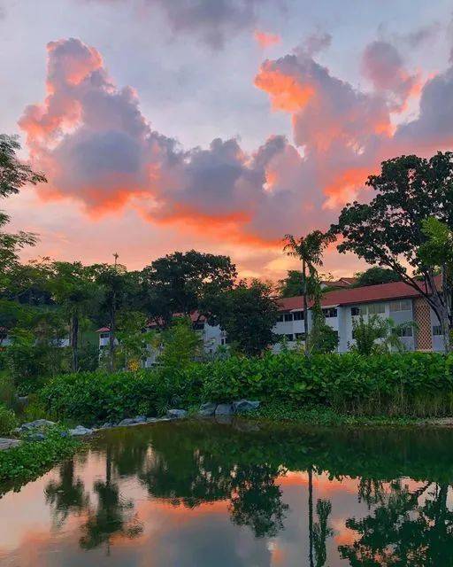 南洋理工大學，每一幀都很美