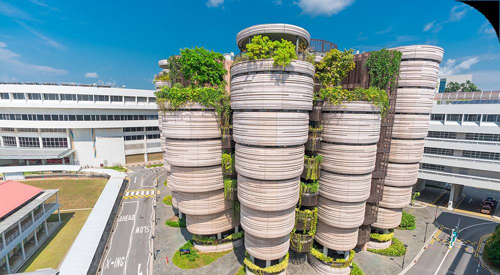 南洋理工大学调查显示：近八成新加坡民众环保意识高