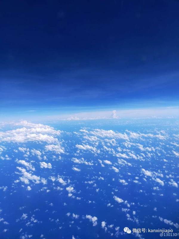 新加坡杭州飞行最新经历，樟宜机场病毒检测12小时出结果