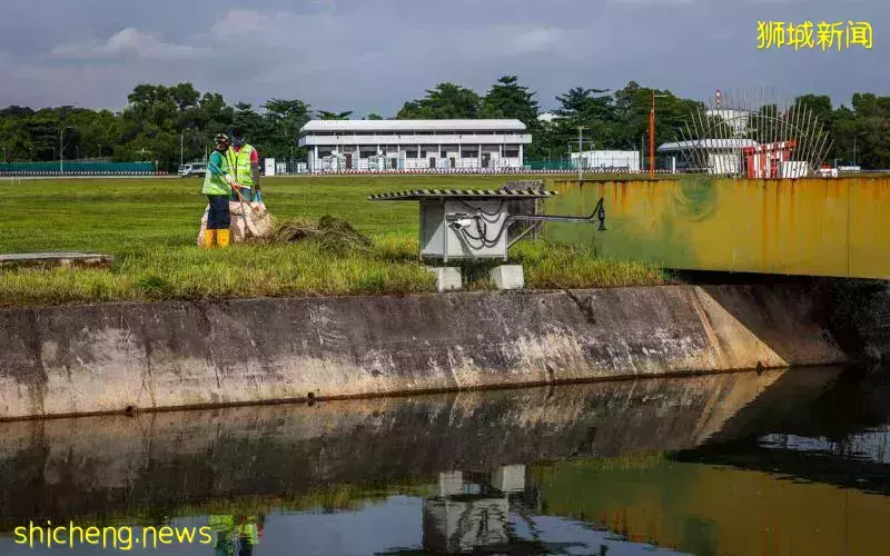 樟宜机场增设防洪新法宝