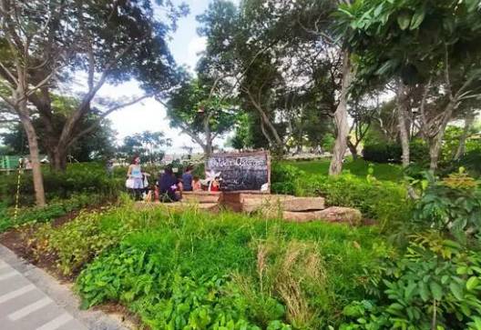 新加坡进一步“解封”,经济复苏步伐有望加快