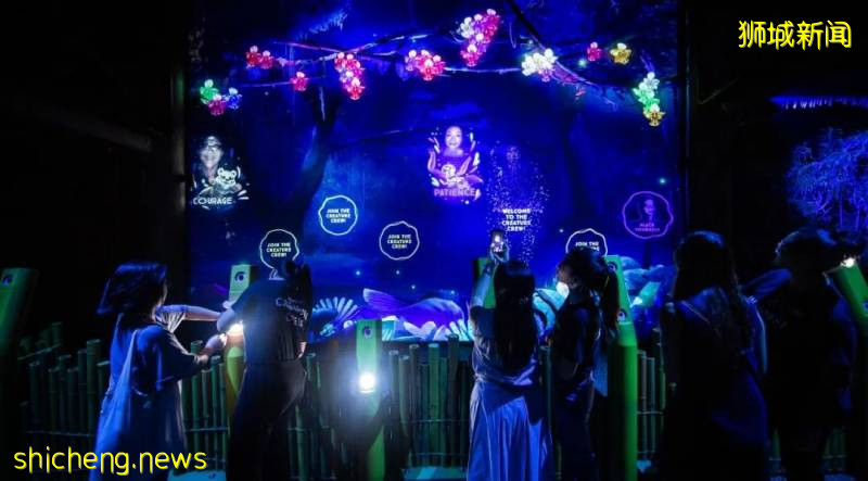 新加坡動物園沉浸式多媒體夜行體驗“RAINFOREST LUMINA”｜CAAPA周末分享!