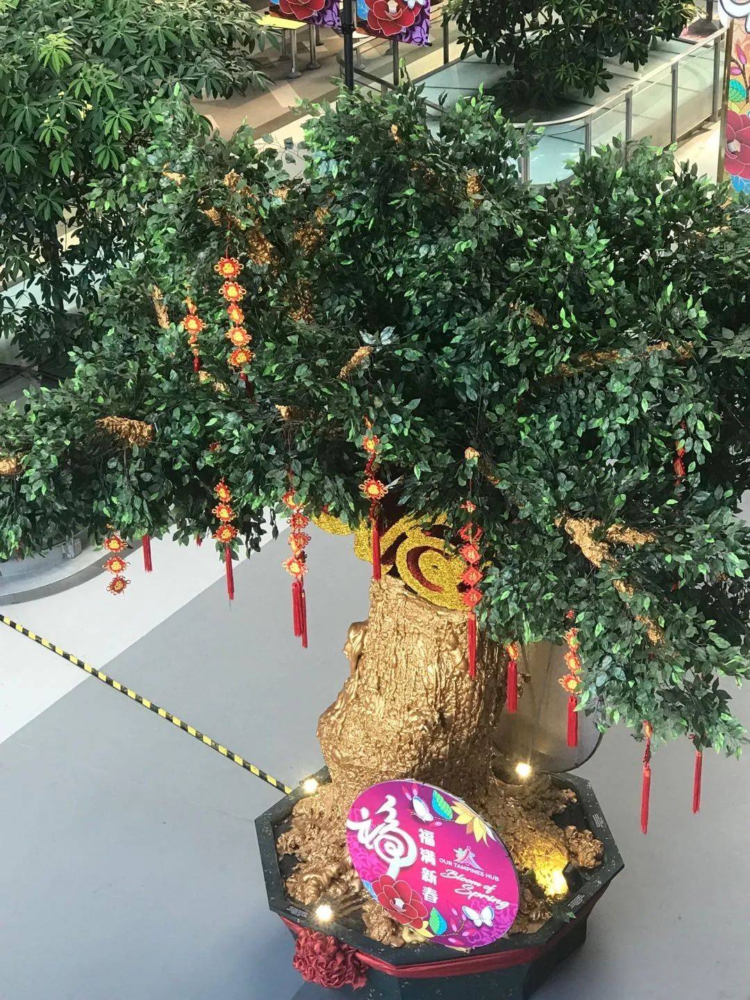 新加坡公立大學學費大盤點！貴不貴，值不值