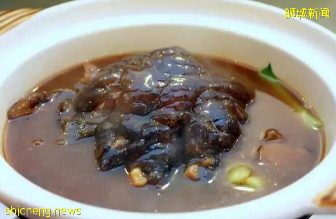 新加坡人看到鳄鱼第一反应:蜂拥围观!抢镜拍照!鳄鱼估计快被吓尿了