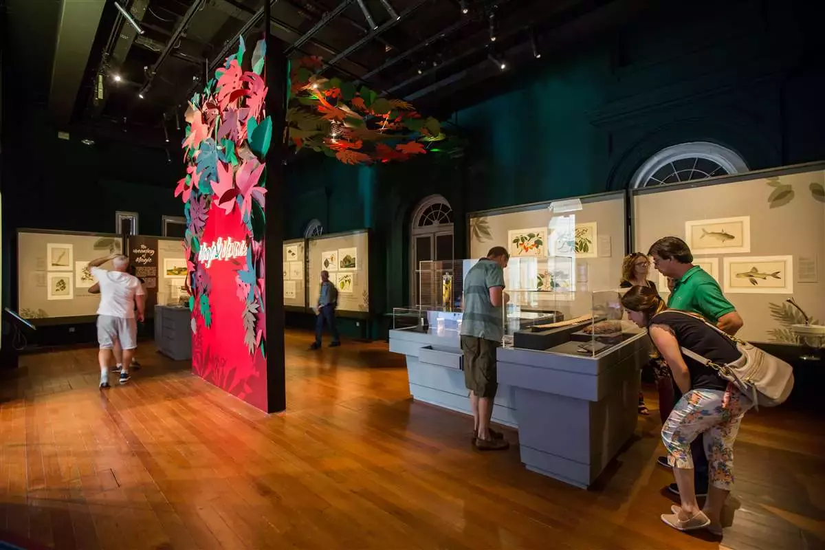 新加坡旅遊之必打卡的三個博物館