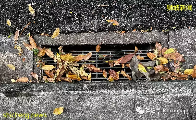 李显龙:太平洋国家比美国更为尊重中国抗疫做法