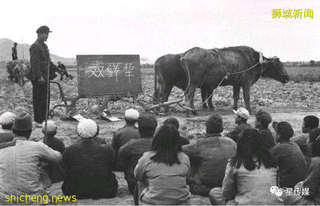 为什么香港、台湾用繁体字，新加坡、马来西亚却用简体字