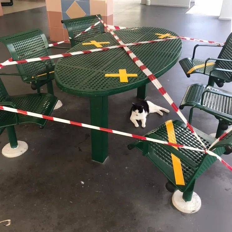 新加坡用膠帶做了一場大型公共藝術