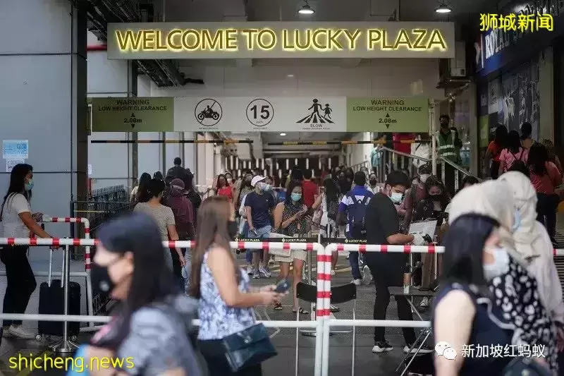 疫后更多帮佣满意新加坡的工作环境 更愿意推荐同乡来新