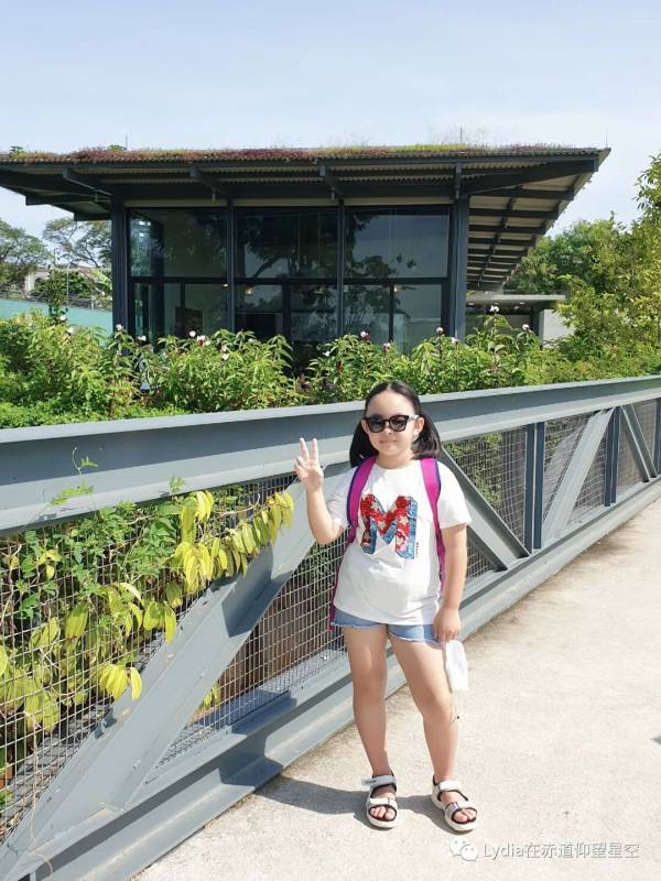 新加坡也有溫泉 三巴旺溫泉公園