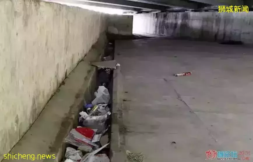 新加坡几十名女佣和客工“藏”在桥下857,好嗨哟!感觉人生达到了高潮