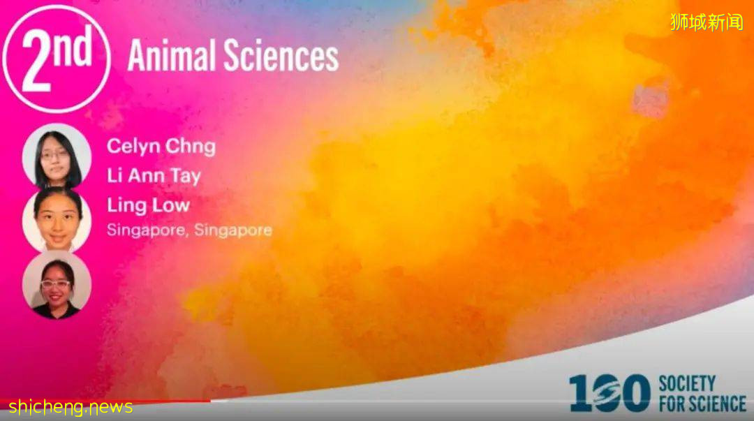 國際賽事獲獎!新加坡10名學生在國際科學與工程大獎賽中嶄露頭角