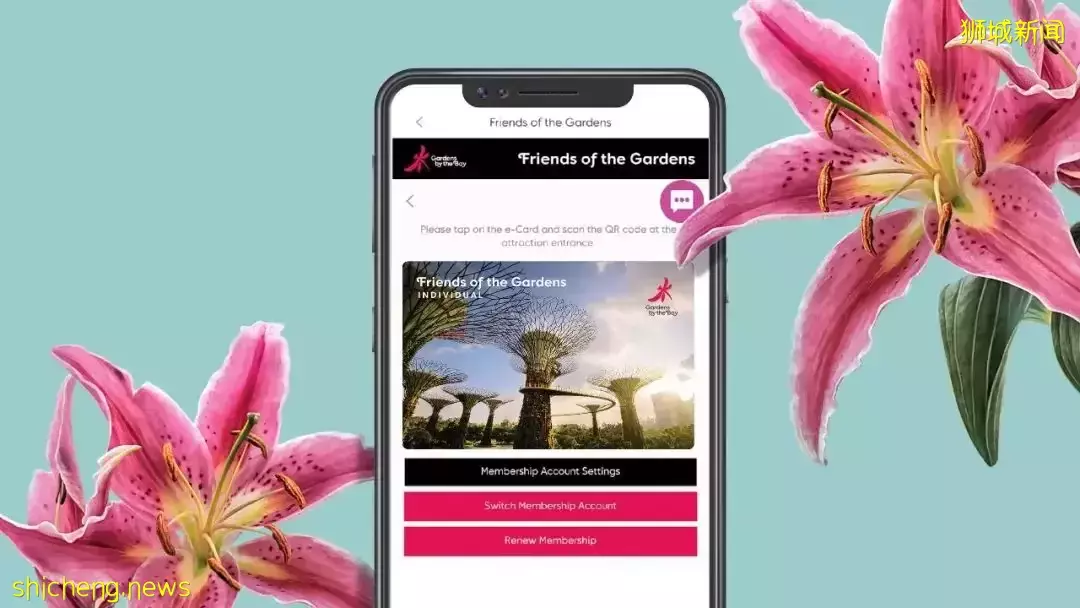 總統府開放！冰淇淋博物館門票免費！$1.9生蚝！美滋鍋5折！自助餐買1送1